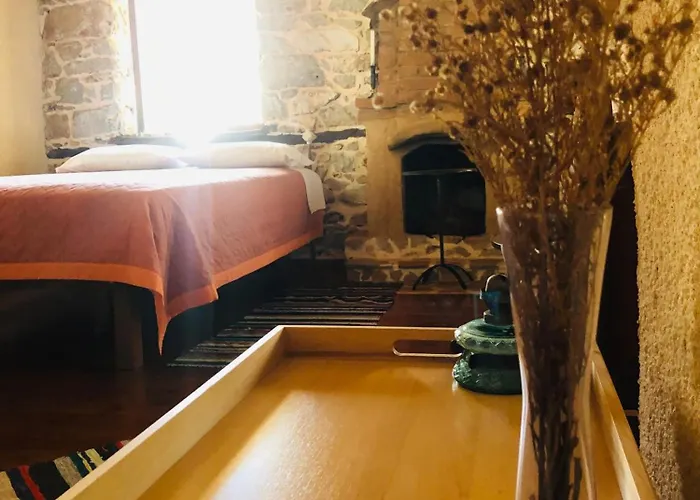 Gasthuis χαγιάτι 3*